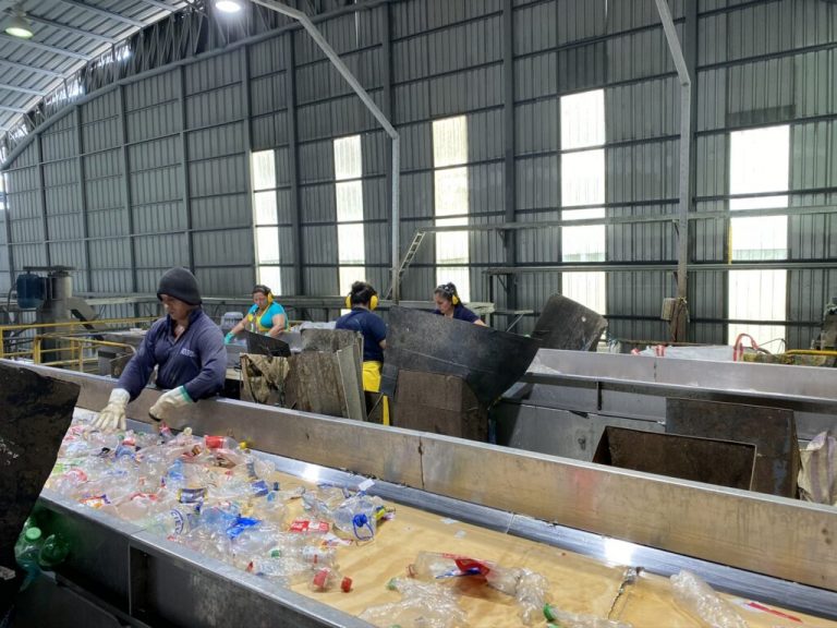 Sustainable parasols, where countless plastic bottles are processed into parasols, reducing carbon footprint